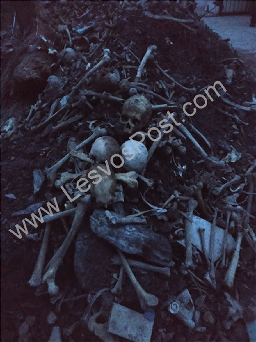 Σοκ στην Λέσβο: Πέταξαν ανθρώπινα οστά στον δρόμο -Τι συνέβη [εικόνες] | iefimerida.gr 0