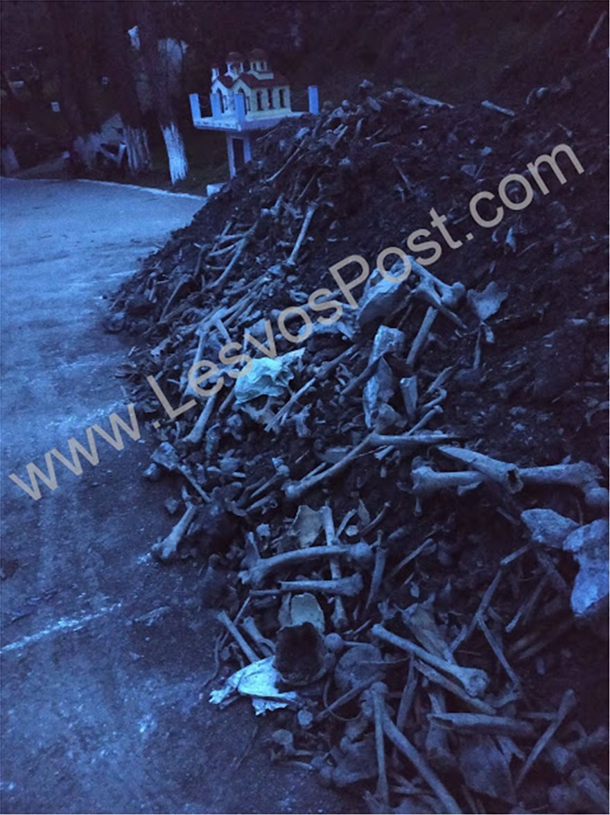 Σοκ στην Λέσβο: Πέταξαν ανθρώπινα οστά στον δρόμο -Τι συνέβη [εικόνες] | iefimerida.gr 1