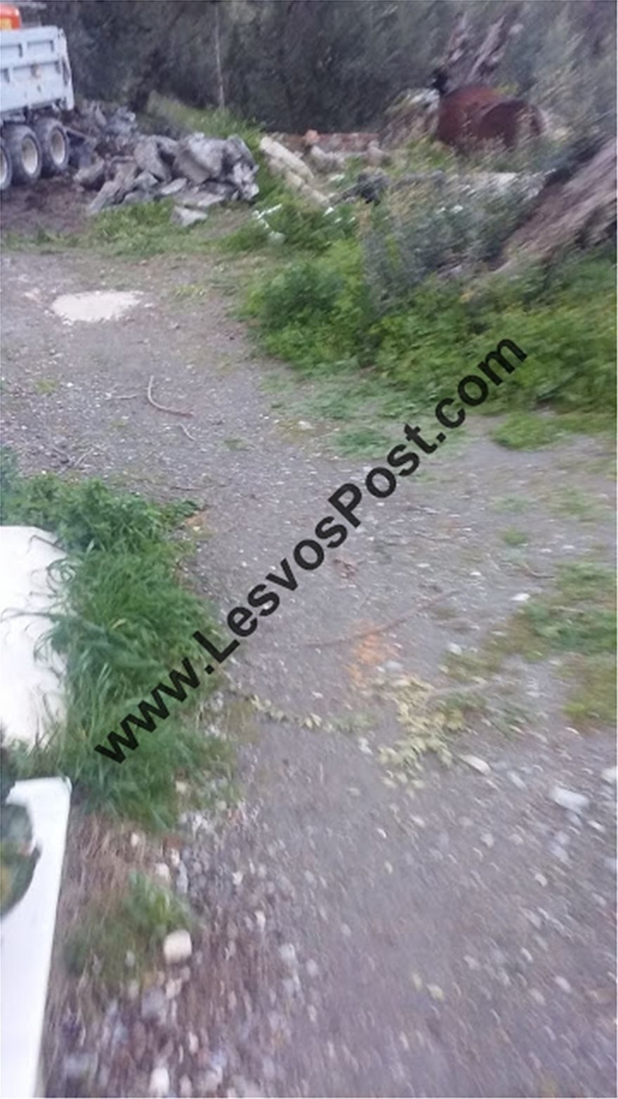 Σοκ στην Λέσβο: Πέταξαν ανθρώπινα οστά στον δρόμο -Τι συνέβη [εικόνες] | iefimerida.gr 2