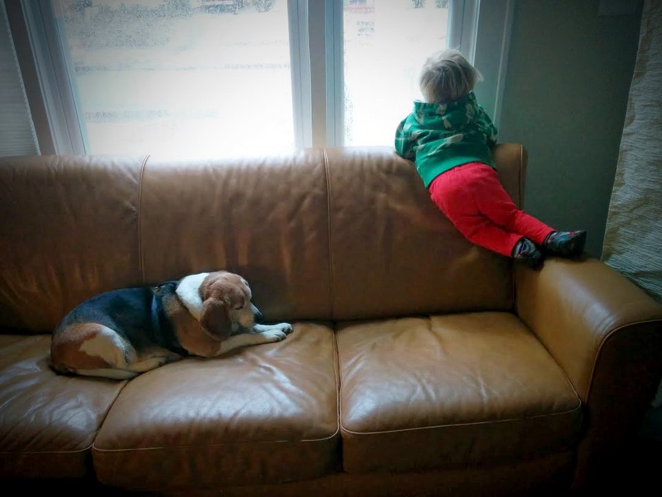 Τρίχρονο γράφει γράμμα στο νεκρό σκύλο του: «Μο, Παράδεισος, Σύννεφο 1» -Ταχυδρόμος του απαντά και συγκινεί [εικόνες] | iefimerida.gr 1