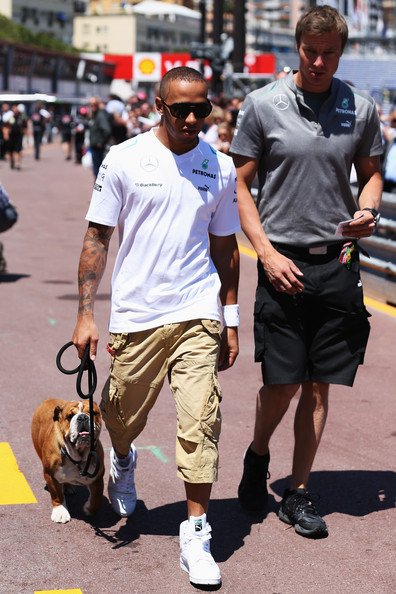 Το μπουλντόγκ του Χάμιλτον έκλεψε την παράσταση στα βραβεία [εικόνες & βίντεο] | iefimerida.gr 3