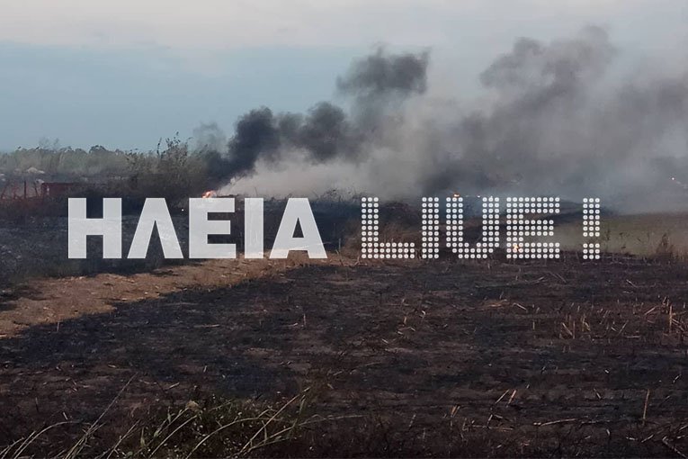 Υπό έλεγχο η πυρκαγιά στα Λεχαινά -Φόβοι αναζωπύρωσης [εικόνες & βίντεο] | iefimerida.gr 1