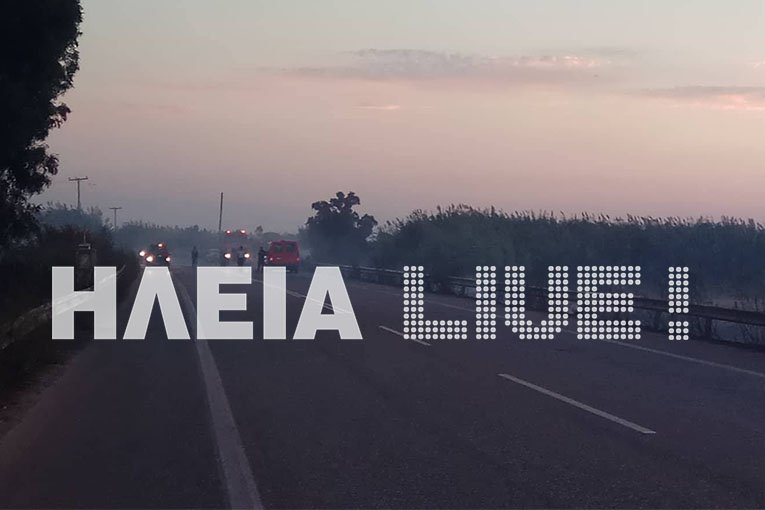 Υπό έλεγχο η πυρκαγιά στα Λεχαινά -Φόβοι αναζωπύρωσης [εικόνες & βίντεο] | iefimerida.gr 0