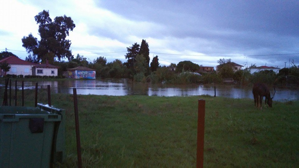 Σε κατάσταση έκτακτης ανάγκης Αχαΐα και Ηλεία -Πλημμύρες από τις σφοδρές καταιγίδες [εικόνες] | iefimerida.gr 3