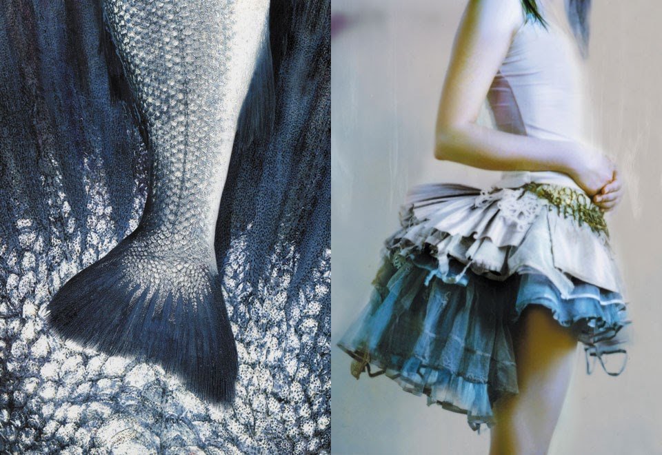 Ολλανδή σχεδιάστρια: Η μόδα είναι νεκρή, δεν έχει τίποτα να πει [εικόνες] | iefimerida.gr 5