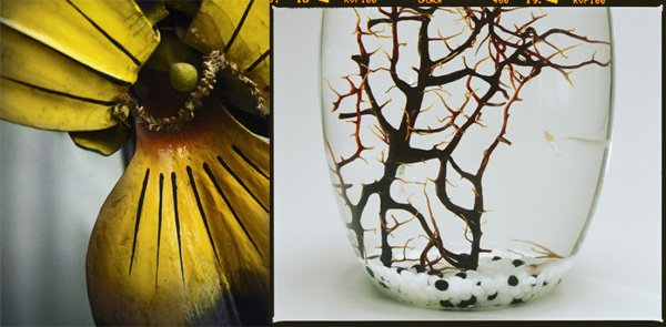 Ολλανδή σχεδιάστρια: Η μόδα είναι νεκρή, δεν έχει τίποτα να πει [εικόνες] | iefimerida.gr 4