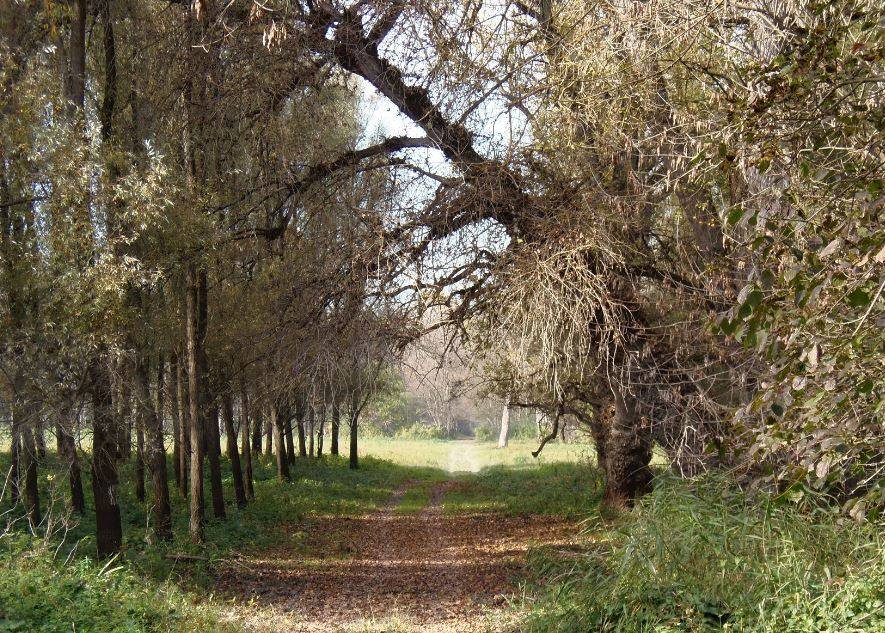 Λίμπερλαντ, η νέα χώρα στην Ευρώπη; Το κομμάτι γης που δεν ανήκει σε κανένα κράτος [εικόνες] | iefimerida.gr 4