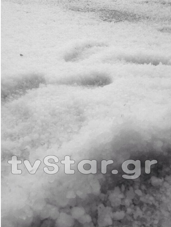 Βιβλική καταστροφή στη Λιβαδειά -Σάρωσε τα πάντα η χαλαζόπτωση [βίντεο & εικόνες] | iefimerida.gr 5