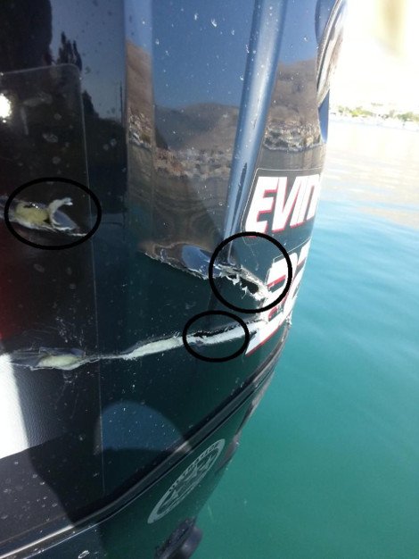 Αγρια καταδίωξη Τούρκων δουλεμπόρων με πυροβολισμούς ανοιχτά της Ψερίμου -Τραυματίστηκε λιμενικός [εικόνες] | iefimerida.gr 1