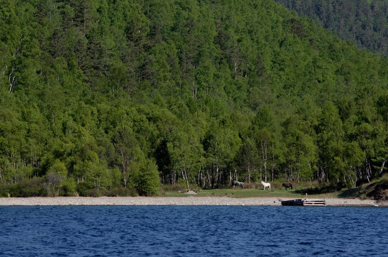 SOS εκπέμπει η λίμνη Βαϊκάλη: Κινδυνεύει να μετατραπεί σε βάλτο [εικόνες] | iefimerida.gr 0