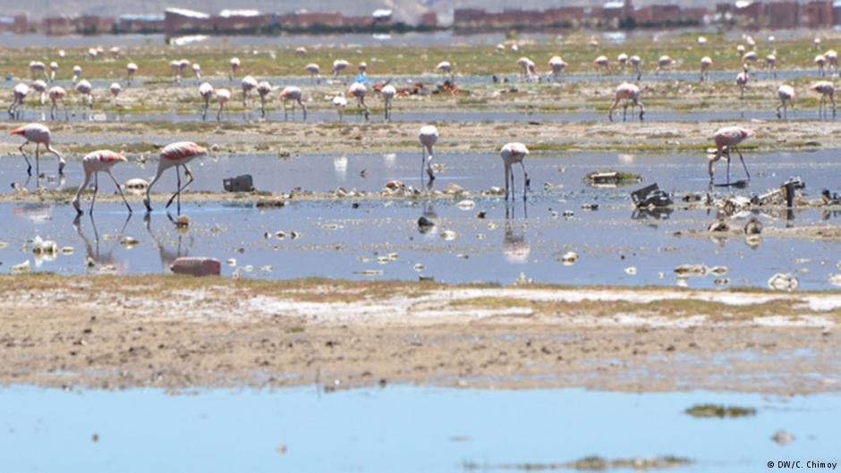 Λίμνη στη Βολιβία... εξατμίστηκε ολοσχερώς [εικόνες] | iefimerida.gr 1