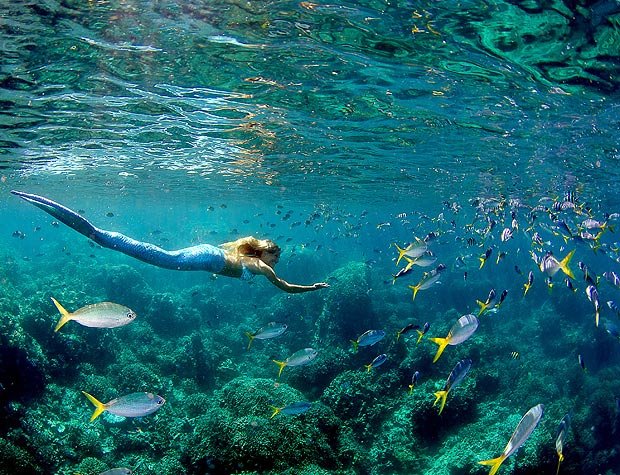 Bρήκε δουλειά στην κρίση: Εγινε επαγγελματίας γοργόνα [εικόνες] | iefimerida.gr 0