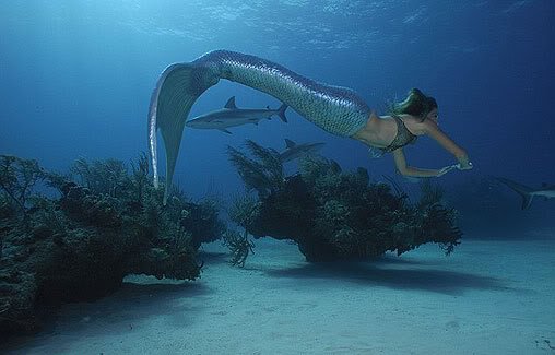 Bρήκε δουλειά στην κρίση: Εγινε επαγγελματίας γοργόνα [εικόνες] | iefimerida.gr 1