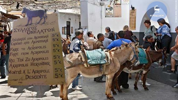 Το ΣΔΟΕ έκοψε πρόστιμα στα... γαϊδουράκια της Λίνδου | iefimerida.gr 1