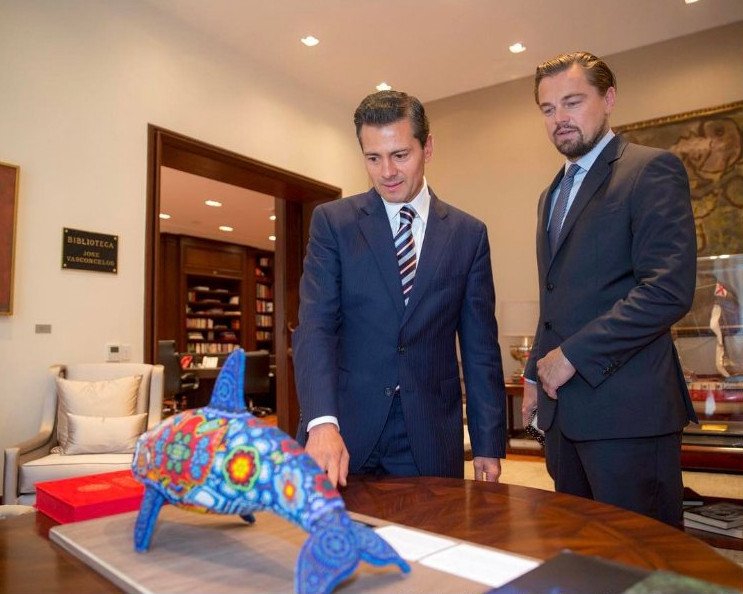 Ο ΝτιΚάπριο συνεργάζεται με τον πρόεδρο του Μεξικό για τη διάσωση σπάνιου θηλαστικού [εικόνες]  | iefimerida.gr 2