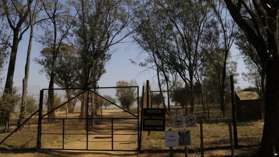 Σοκ: Λιοντάρι κατασπάραξε μέλος της ομάδας του Game of Thrones [εικόνες] | iefimerida.gr 5