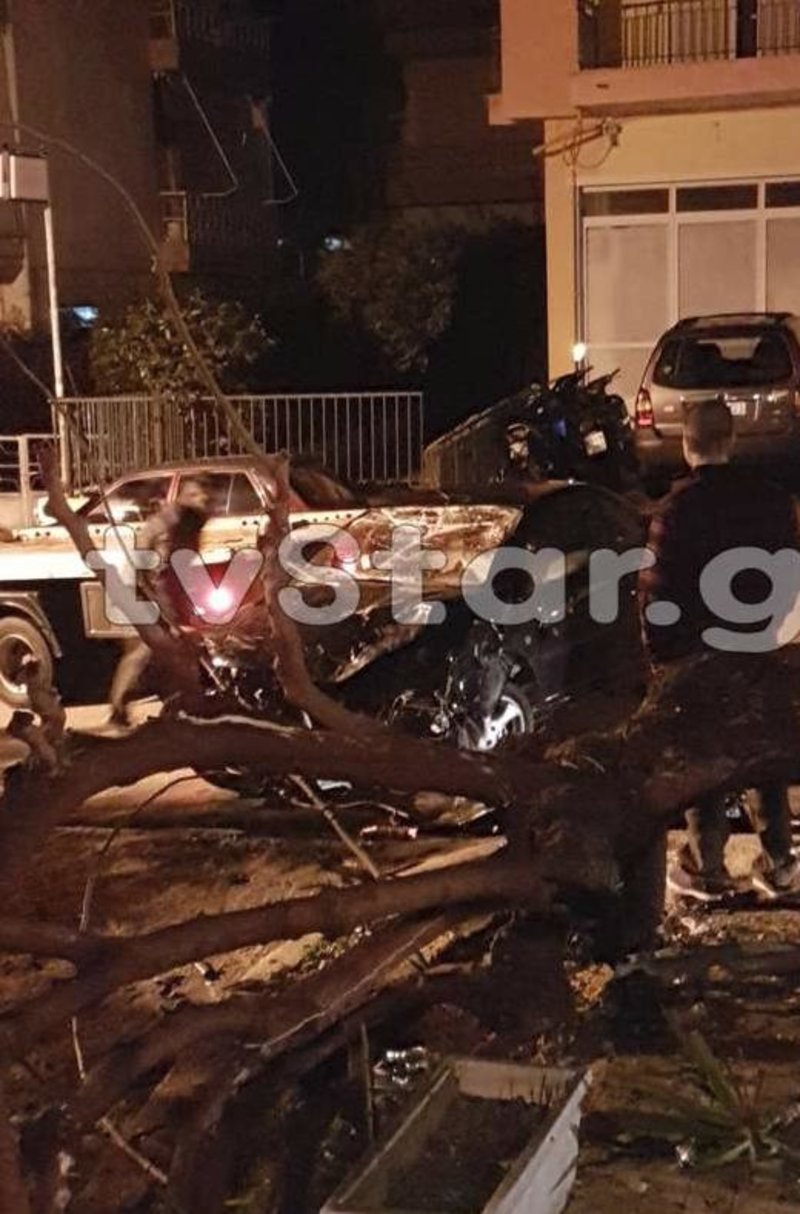 Απίστευτο τροχαίο στη Λιβαδειά: ΙΧ χτύπησε σε δέντρο, το ξερίζωσε και ντελαπάρισε [εικόνες] | iefimerida.gr 1