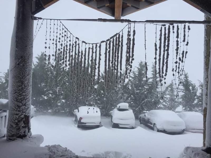 Στα χιόνια «θάφτηκε» η Αράχωβα -Κλειστό το Χιονοδρομικό Κέντρο Παρνασσού [εικόνες & βίντεο] | iefimerida.gr 1