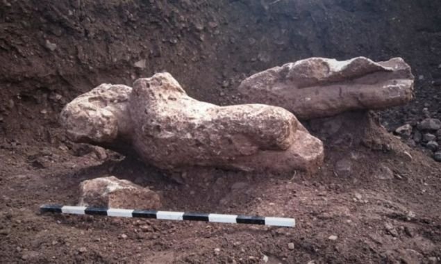 Ανακαλύφθηκαν τυχαία στη Λοκρίδα Φθιώτιδας