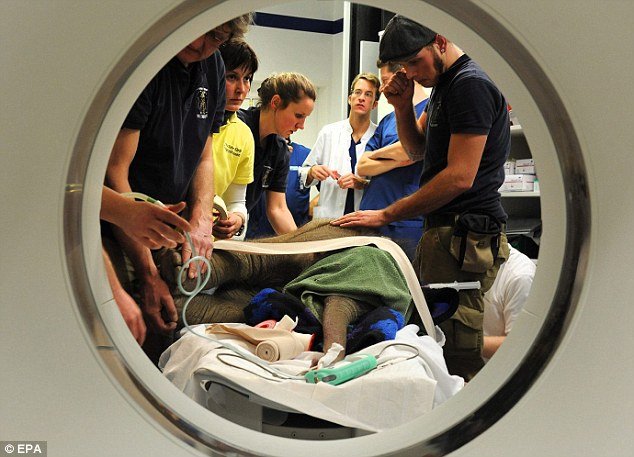 Ελέφαντες αποχαιρετούν ελεφαντάκι που πέθανε από καρδιακή ανεπάρκεια [εικόνες] | iefimerida.gr 1