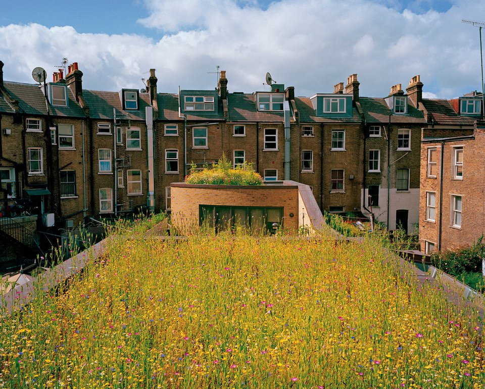 Πράσινες στέγες και στην Γαλλία: Η νέα οικολογική τάση που έγινε παγκόσμιο φαινόμενο [εικόνες]  | iefimerida.gr 2