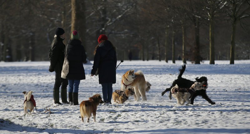 Σε κλοιό χιονιά το Λονδίνο -  «Κόκκινος» συναγερμός από τη μετεωρολογική υπηρεσία [εικόνες] | iefimerida.gr 10