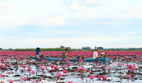 Η σαγηνευτική λίμνη των λωτών, μαγνητίζει τα βλέμματα και κάνει τους ταξιδιώτες να ξεχνούν [εικόνες&βίντεο] | iefimerida.gr 3