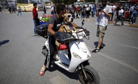 Ο «Λουκάνικος» της πλατείας Ταξίμ φοράει μάσκα, γυαλιά και μαζεύει και σκουπίδια... [εικόνες] | iefimerida.gr 1