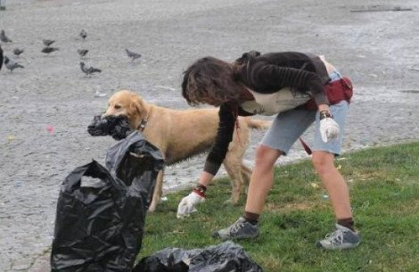 Ο «Λουκάνικος» της πλατείας Ταξίμ φοράει μάσκα, γυαλιά και μαζεύει και σκουπίδια... [εικόνες] | iefimerida.gr 2