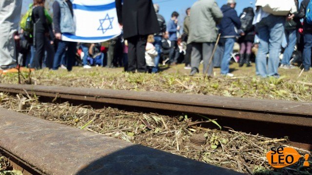 Λίγα λουλούδια στη μνήμη των Εβραίων της Θεσσαλονίκης που οδηγήθηκαν στα στρατόπεδα συγκέντρωσης [εικόνες] | iefimerida.gr 1