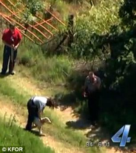 Σκυλί θρηνεί τον νεκρό ιδιοκτήτη του: Εμεινε δίπλα του μέσα στον καύσωνα μέχρι που το απομάκρυναν με το ζόρι [βίντεο&εικόνες] | iefimerida.gr 1