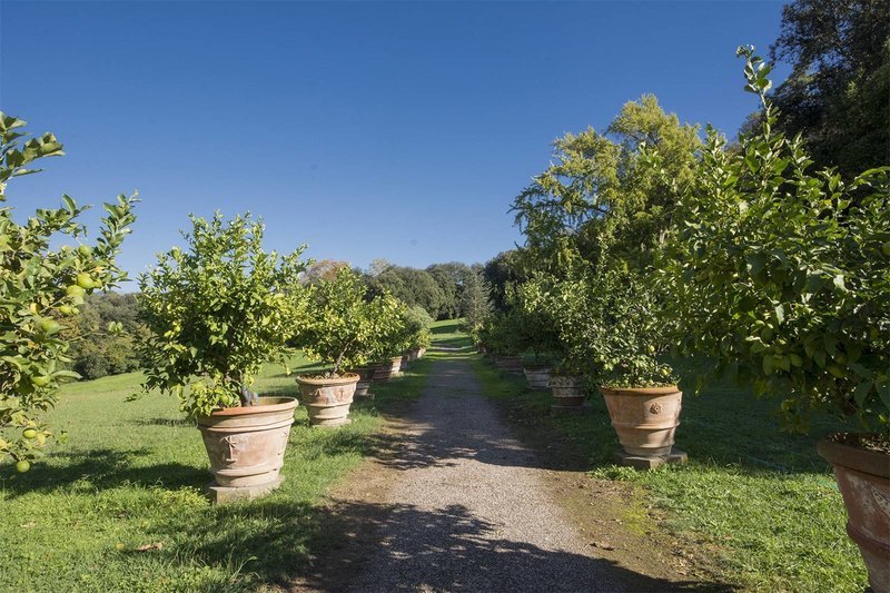 Μια μπαρόκ ιταλική βίλα του 18ου αιώνα μπορεί να γίνει δική σου –Ηταν της αδελφής του Ναπολέοντα [εικόνες] | iefimerida.gr 11