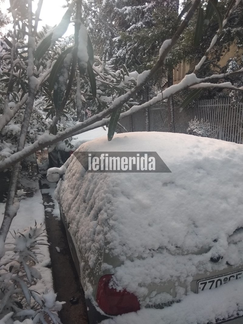 Πρωινή εικόνα από τη Λυκόβρυση