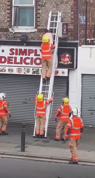 Viral: Εβγαλαν τσίτσιδο άνδρα από οίκο ανοχής που έπιασε φωτιά [εικόνες] | iefimerida.gr 1