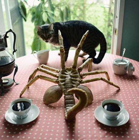 Η σέξι, θεά νοικοκυρά που έγινε παγκόσμιο viral σε χρόνο ρεκόρ -Τα τρομακτικά γλυκά της [εικόνες] | iefimerida.gr 2