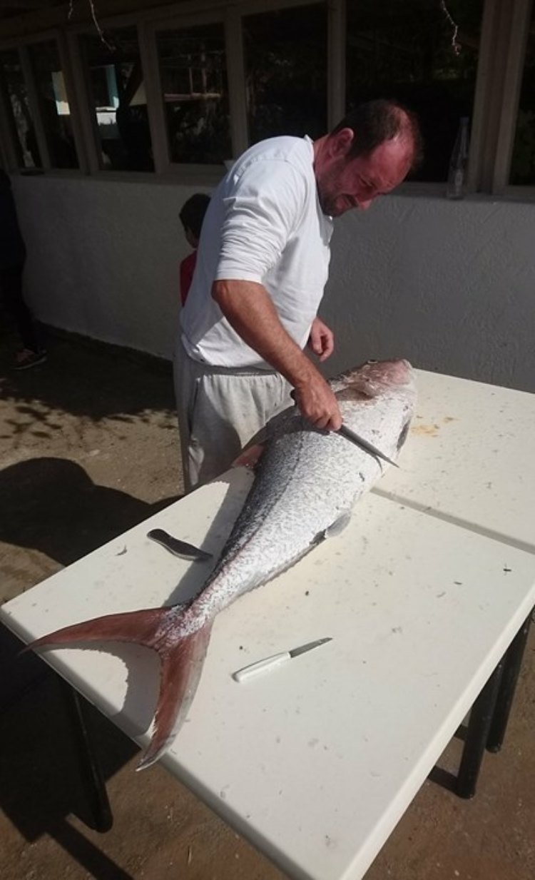 Εντυπωσιακή ψαριά στην Κρήτη: Επιασε μαγιάτικο 32 κιλών [εικόνα] | iefimerida.gr 0