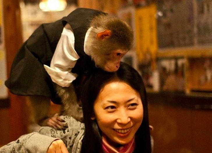 Τα 8 πιο περίεργα εστιατόρια του κόσμου -Τι θέλει ένας νίντζα πάνω από το τραπέζι σας [εικόνες] | iefimerida.gr 2