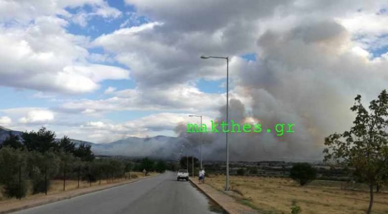 Μαίνεται η πυρκαγιά στις Σέρρες -Εκκενώθηκε ξενοδοχείο [εικόνες & βίντεο] | iefimerida.gr 0