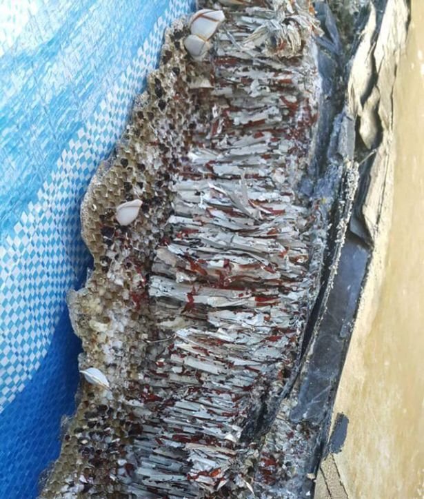 Νέα συντρίμμια που ξεβράστηκαν στις Μαλδίβες δημιουργούν ερωτηματικά για τη μοιραία πτήση της Malaysia Airlines [εικόνες] | iefimerida.gr 0