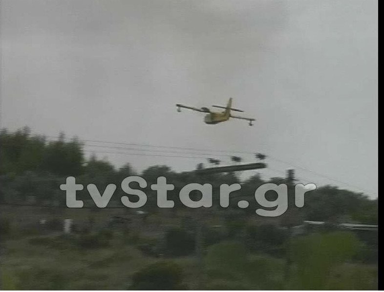 Πύρινος εφιάλτης στη Μαλεσίνα - Αναζωπυρώθηκαν οι εστίες, χτυπούν οι καμπάνες στα χωριά [εικόνες&βίντεο] | iefimerida.gr 2