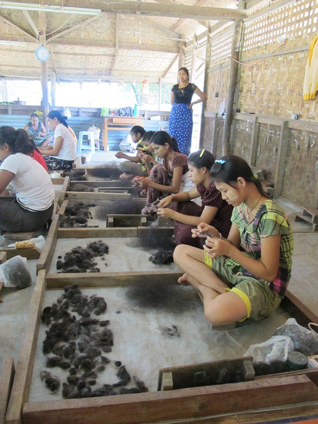 Ετσι φτιάχνονται τα εξτένσιον -Ξυρίζουν Ινδές, ξαίνουν το μαλλί επί ώρες [εικόνες] | iefimerida.gr 2