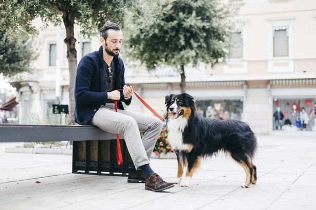 Θέλετε να κάνετε νέες γνωριμίες; Υιοθετήστε έναν σκύλο - Νέα έρευνα αποκαλύπτει [εικόνες] | iefimerida.gr 0