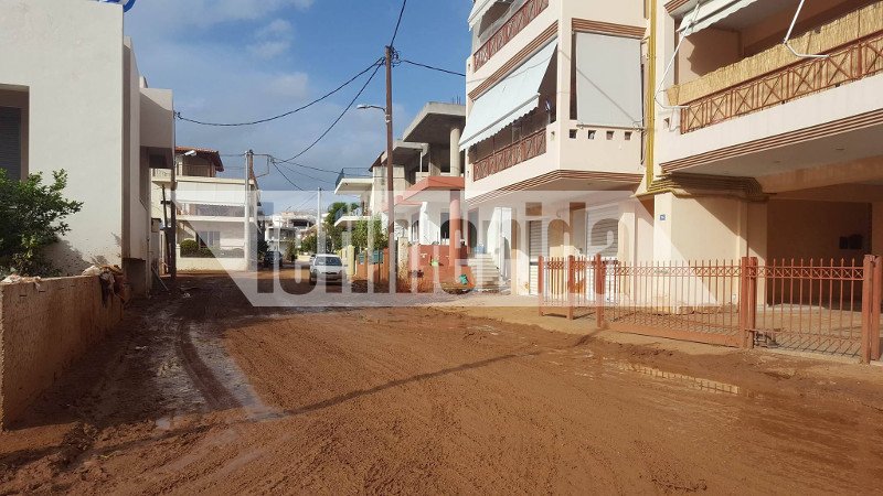 Οδοιπορικό του iefimerida στη Μάνδρα: Οι κάτοικοι ακόμα παλεύουν με τις λάσπες -«Οι μόνοι που μας βοήθησαν ήταν οι εθελοντές» [εικόνες & βίντεο] | iefimerida.gr 0