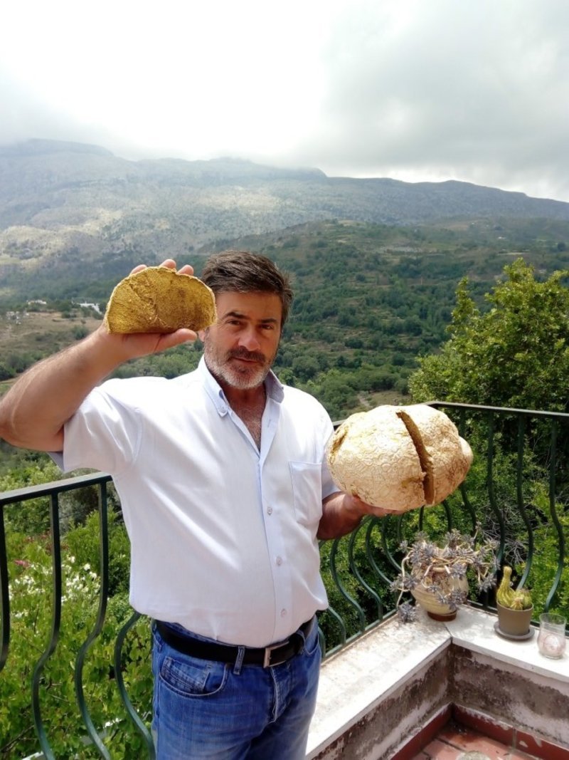 Βρήκαν τεράστιο μανιτάρι στο Ρέθυμνο -Σχεδόν 4 κιλά, το πρώτο του είδους στην Κρήτη [εικόνες] | iefimerida.gr 2