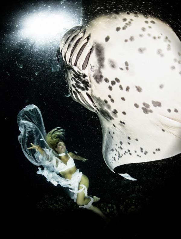 Χορεύοντας με τα σαλάχια: Αυστραλιανό μοντέλο σε υποβρύχιες φιγούρες [εικόνες] | iefimerida.gr 4