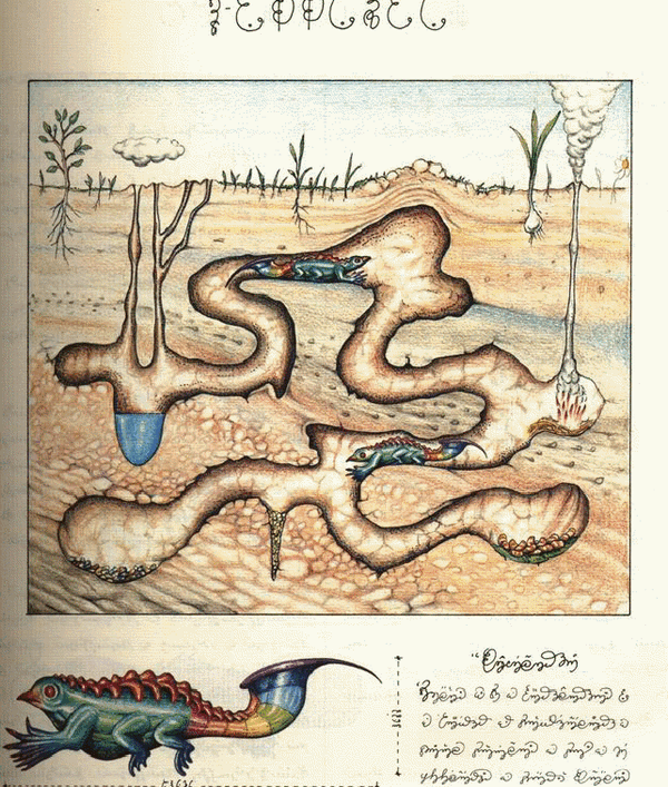 Το μόνο βιβλίο που δεν διαβάσαμε ποτέ -Το αινιγματικό χειρόγραφο Βόινιτς [εικόνες] | iefimerida.gr 10