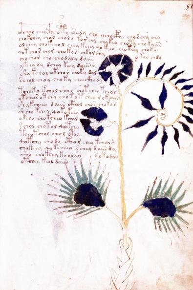 Το μόνο βιβλίο που δεν διαβάσαμε ποτέ -Το αινιγματικό χειρόγραφο Βόινιτς [εικόνες] | iefimerida.gr 6