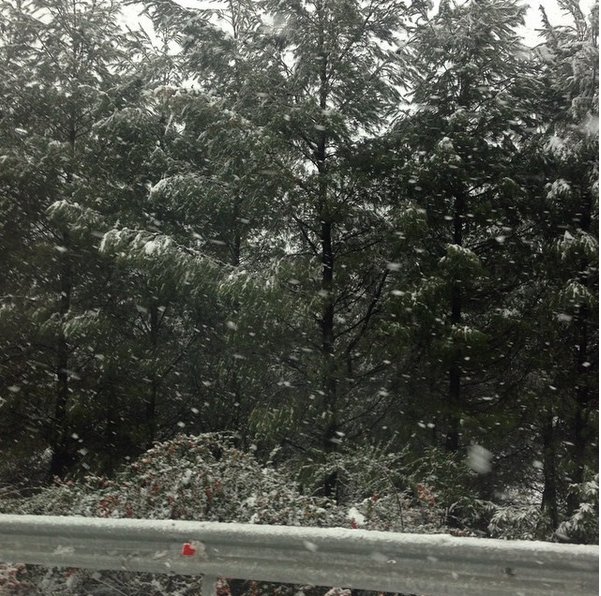 Ο Αδωνις με την Ευγενία εγκλωβίστηκαν λόγω χιονιά στην Εθνική -H selfie της  Μανωλίδου μέσα από το αυτοκίνητο [εικόνες] | iefimerida.gr 3