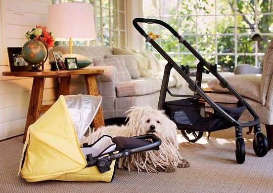 Ο Μαρκ Ζούκερμπεργκ ξαφνιάζει: Θα πάρω δύο μήνες άδεια πατρότητας μόλις γεννηθεί η κόρη μου [εικόνες] | iefimerida.gr 0