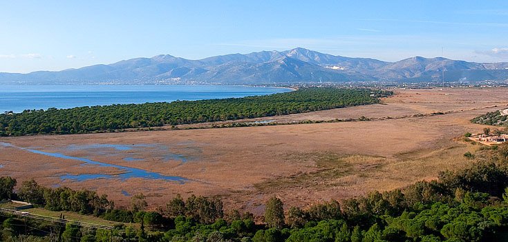 Ελληνικό Λας Βέγκας στον Σχινιά ετοιμάζει ο Ηλίας Ψινάκης -Καζίνο, σπα και βίλες [εικόνες] | iefimerida.gr 1